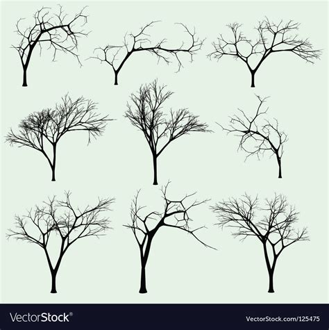 Set Of Silhouettes Of Trees Royalty Free Vector Image