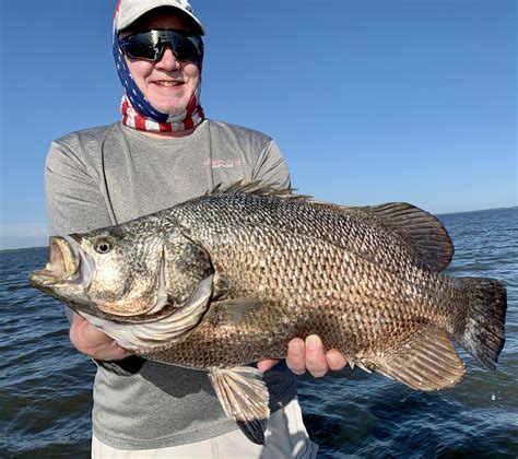 The Best Fishing On Cape San Blas Perfect Cast Charters Fishing