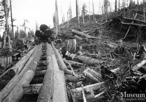 Byles And Groves Logging Campbell River Museum Online Gallery