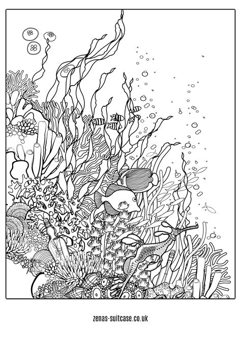 FREE Ocean Under The Sea Colouring Pages Ocean Coloring Pages