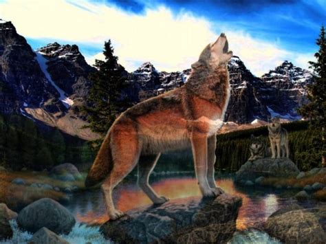 Fantasy Original Art Artistic Artwork Wolf Wolves