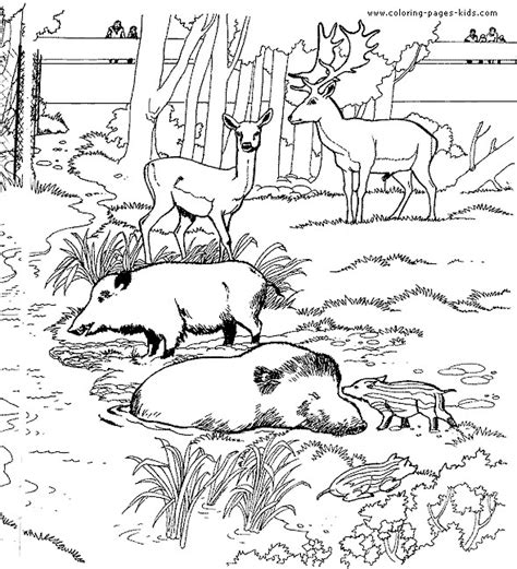 Meilleur De Coloriage Animaux De La Foret Photos Coloriage Coloriage