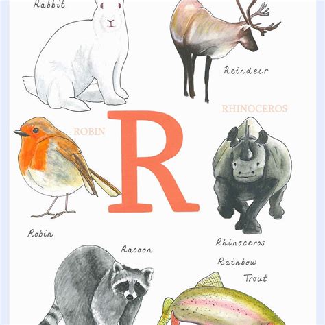 Animal Alphabet Letter R Nursery Print Photo denfants Art | Etsy