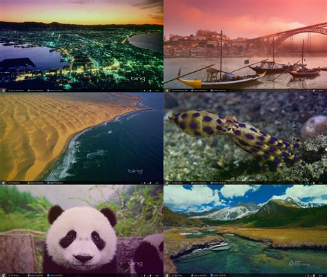 49 Best Of Bing Wallpapers Locations Wallpapersafari