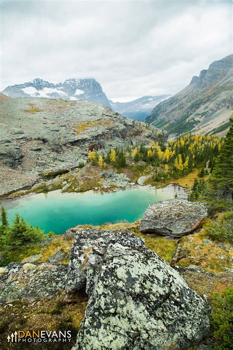 Lake Ohara In Fall By Dan Evans Photography Mountain Park Mountain