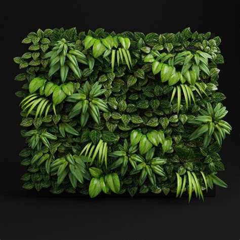 Green Wall Plants Texture 111000 Vectors Stock Photos And Psd Files