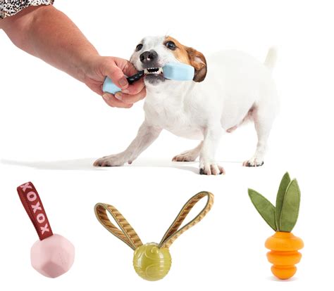 Bark Super Chewer Toy Types And Playstyles Bark Post