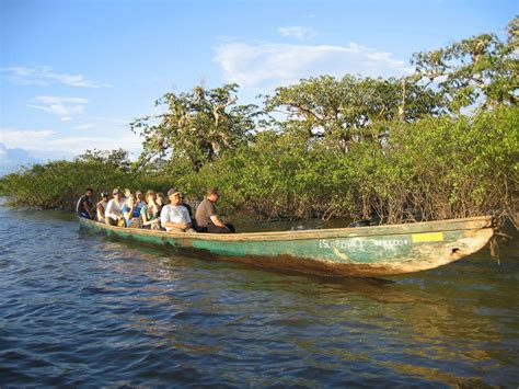Calcular el estado del tiempo en la región amazónica del ecuador no es sencillo. Jungle in Ecuador Cuyabeno 6 days program | Southamericaplanet