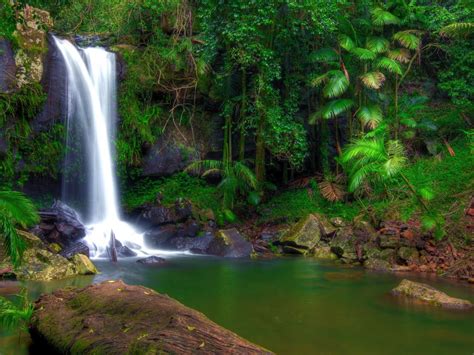 Wonderful Tropical Waterfall In Jungle Green Vegetation Rocks Full Hd Wallpapers