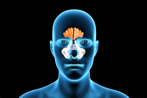 Facial Feminization Surgery - Apollo Hospitals Blog