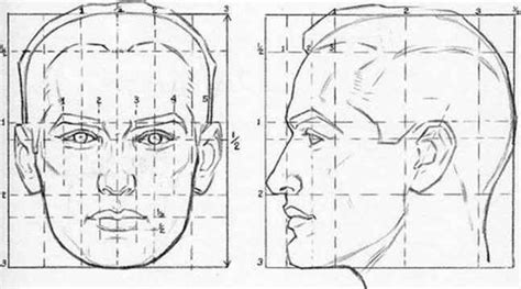 How To Draw The Head In Perspective Drawing Human Head In Face