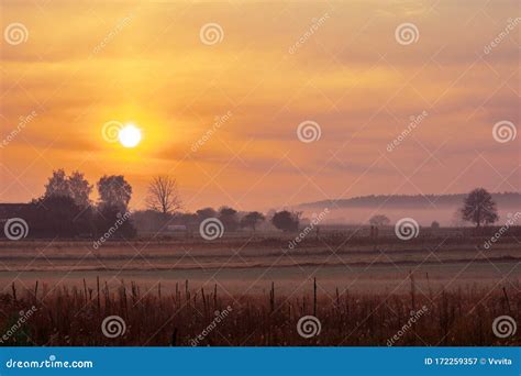 Sunrise In The Field In The Early Misty Morning Stock Image Image Of