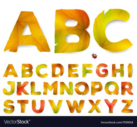 Alphabet Letters Made From Autumn Leaves Vector Image