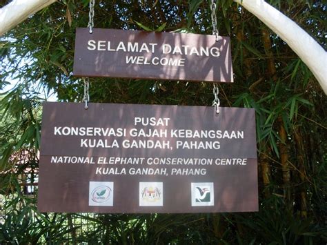 Kuala gandah elephant sanctuary adventure tours and batu caves. Kuala Gandah Elephant Sanctuary - GoWhere Malaysia