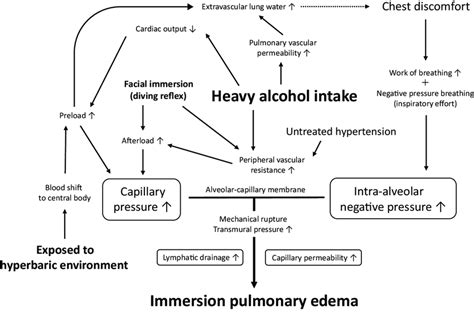Pathophysiological Mechanism Of Immersion Pulmonary Edema Onset In This