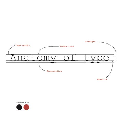 Anatomy Of A Typeface Anatomy Of Typefaces Siv Hansen Img Shah