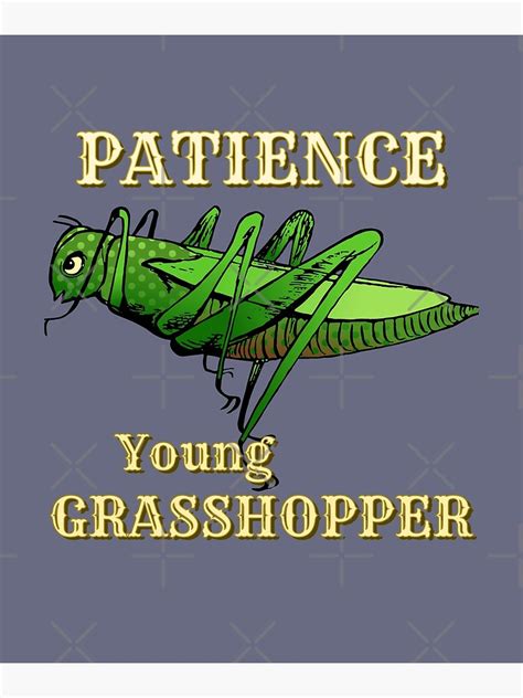 Patience Young Grasshopper Patience Is A Virtue Poster By
