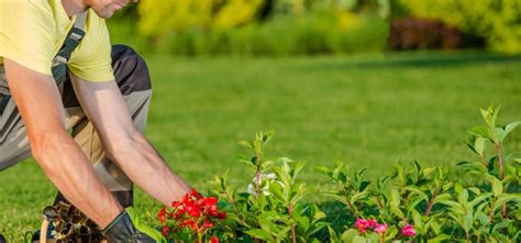 Reasons Why You Need To Hire Landscapers