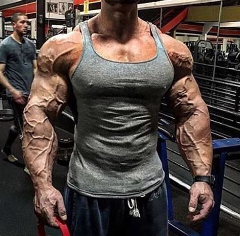 frank mcgrath has some spongebob anchor arms bodybuilding motivation bodybuilding body
