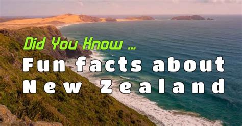 Interesting Facts About New Zealand World Records And Fun Trivia