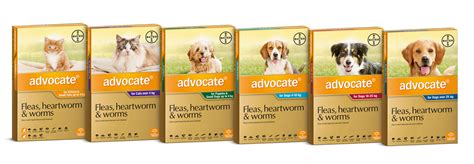 Win A Years Supply Of Advocate For Your Cat Or Dog Pets4life Dog