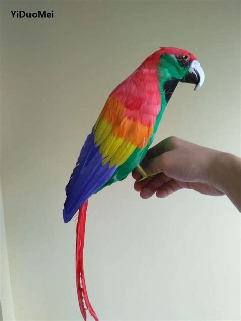 Cute Simulation Colourful Parrot Model Foamandfurs Bird Doll T About