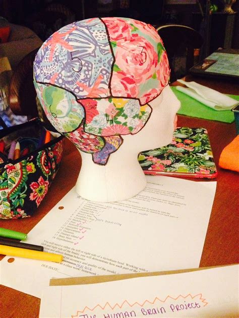 Lilly Pulitzer Meets Ap Psych The Human Brain Project Brain Models