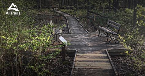 Best Trails In Yankee Springs Recreation Area Michigan Alltrails