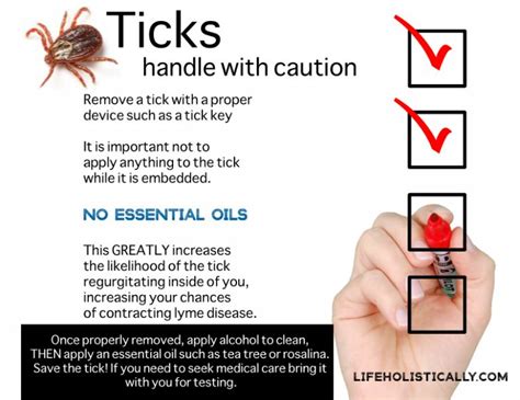 Using Essential Oils To Remove Ticks And Tick Bites Lifeholistically