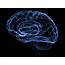 Why Mapping The Human Brain Matters  Washington Post