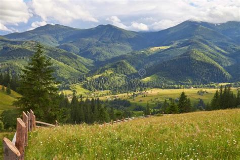 123 Beautiful Alpine Landscape Green Wooded Hills Stock Photos Free