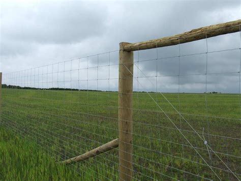 Deer Netting Wire And Stock Fencing Agricultural Ashford Kent