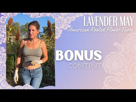 Lavender May American Rooted Flower Farm Viewtube