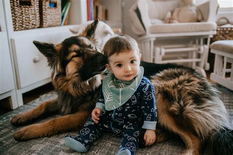 8 Tried And True Ways To Photograph Babies And Pets Together