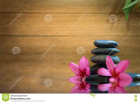 Spa Still Life With Water Lily And Zen Stone Stock Photo Image Of