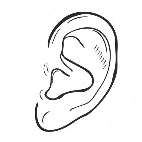 Premium Vector Human Ear Hand Drawn Outline Doodle Icon Human Ear As