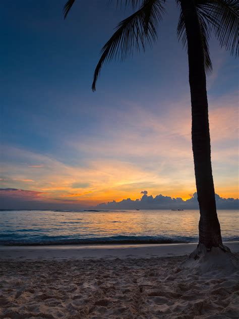 Bildet Himmel Tre Horisont Strand Hav Solnedgang Palmetre Tropene Skumring Soloppgang