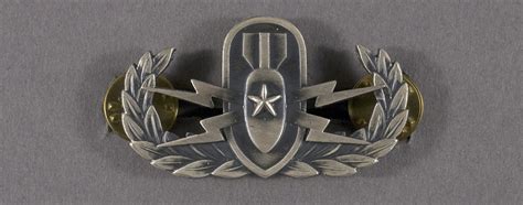 Badge Senior Explosive Ordnance Disposal United States Air Force