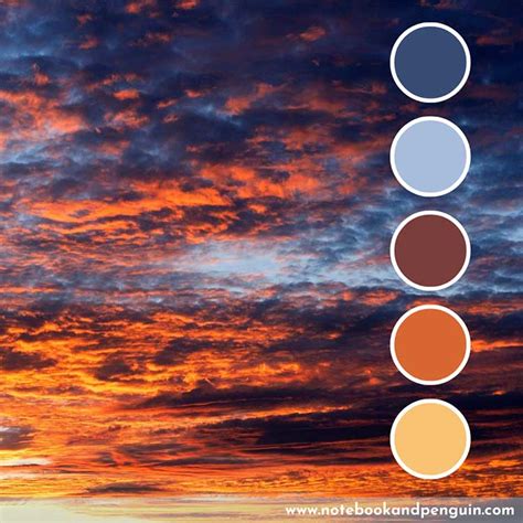 7 Eye Catching Blue And Orange Color Palettes Hex Codes Included