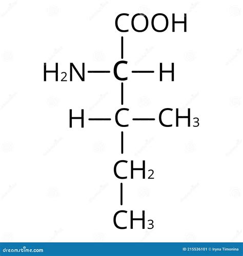 Isoleucine Amino Acid Chemical Molecular Formula Isoleucine Amino Acid Stock Vector