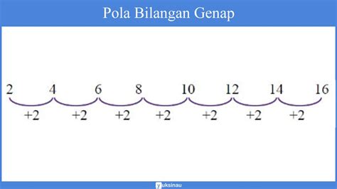 Pola Bilangan Matematika Materi Rumus Contoh Soal Pembahasan