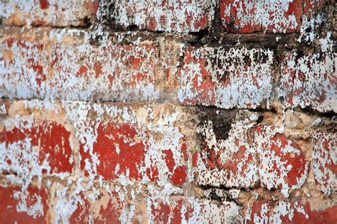 Sorry Sight Wall Free Stock Photo Public Domain Pictures