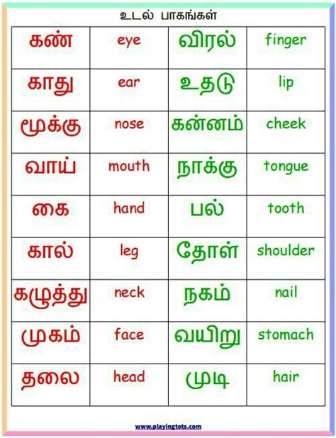 Tamil Words For Kids