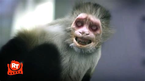 Zoombies 2016 Zombie Monkey Scene Movieclips Youtube