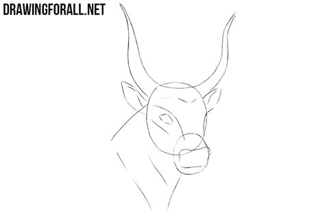 Don't press too hard either—these lines should be barely visible. How to Draw a Bull Head | Drawingforall.net