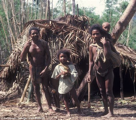 Hunter Gatherers Move On Just Before Food Runs Out Daily Mail Online