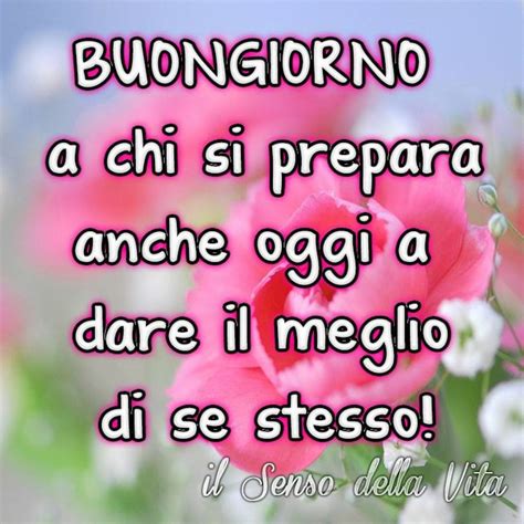 Buon mercoledi immagini nuove buongiornissimocaffeit. Immagini Buongiorno gratis per WhatsApp 6804 ...