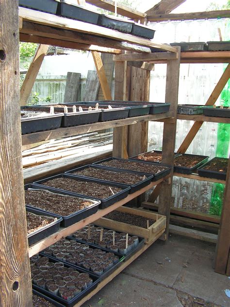 Larger greenhouses or hoop houses/ polytunnels can also make gardening more pleasant for the gardener in inclement weather conditions and chilly temperatures. Amazing Greenhouse Shelf Shelving Google Search I M In The ...