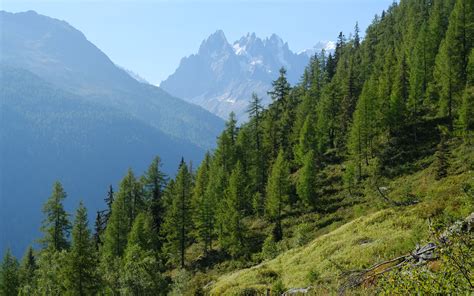 Download Wallpaper 3840x2400 Mountain Peak Slope Trees Landscape 4k