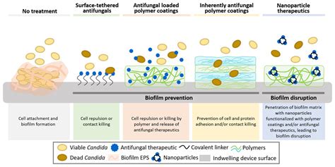 Frontiers Advances In Biomaterials For The Prevention And Disruption